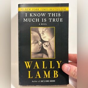 I Know This Much Is True by Wally Lamb Paperback Fiction Family Life Novel